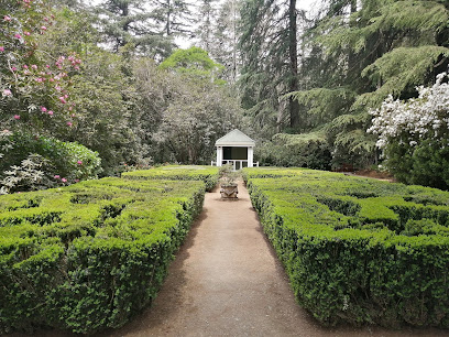 010966361455