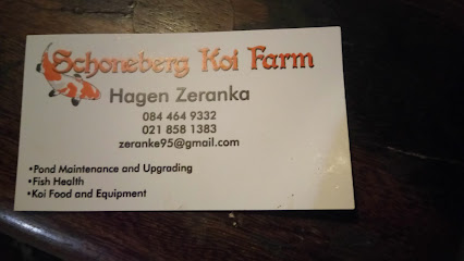 690266564286